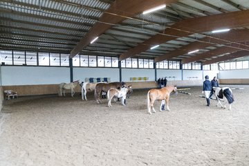 Bild 9 - Pony Akademie Turnier